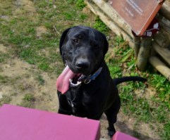 Parco Artistico La Court, la nostra guida