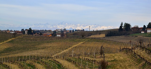 Parco artistico La Court, vista dall'osservatorio
