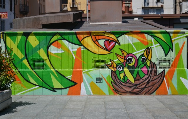 cuneo-piazza-boves-birds