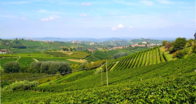 coazzolo-vista-colline