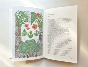 il_giro_del_mondo_in_80_alberi_dettagli